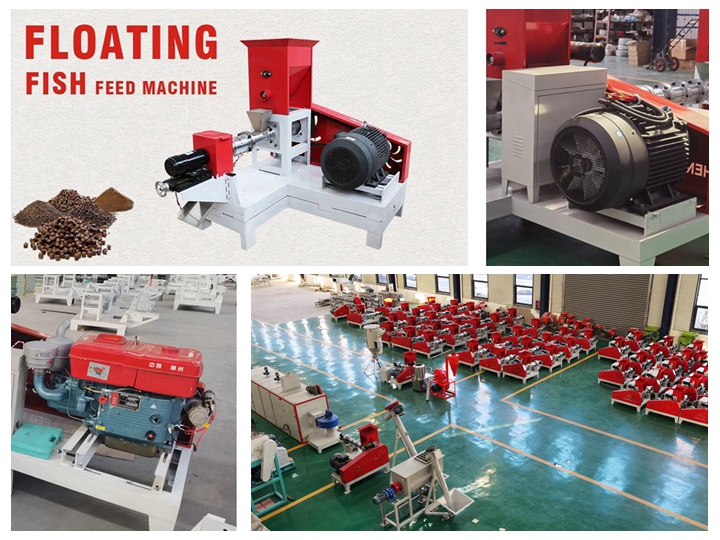 Bangladesh crab feed extruder machine